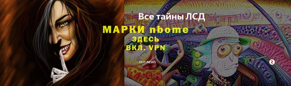гидра Белокуриха